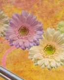 banner part 5