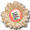 pdf icon