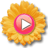 video icon