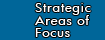 Strategic Areas of Focus